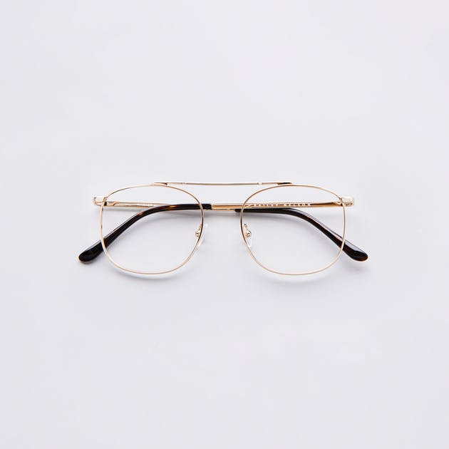 Warner in Gold