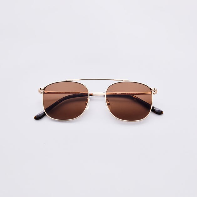 Warner in Gold
